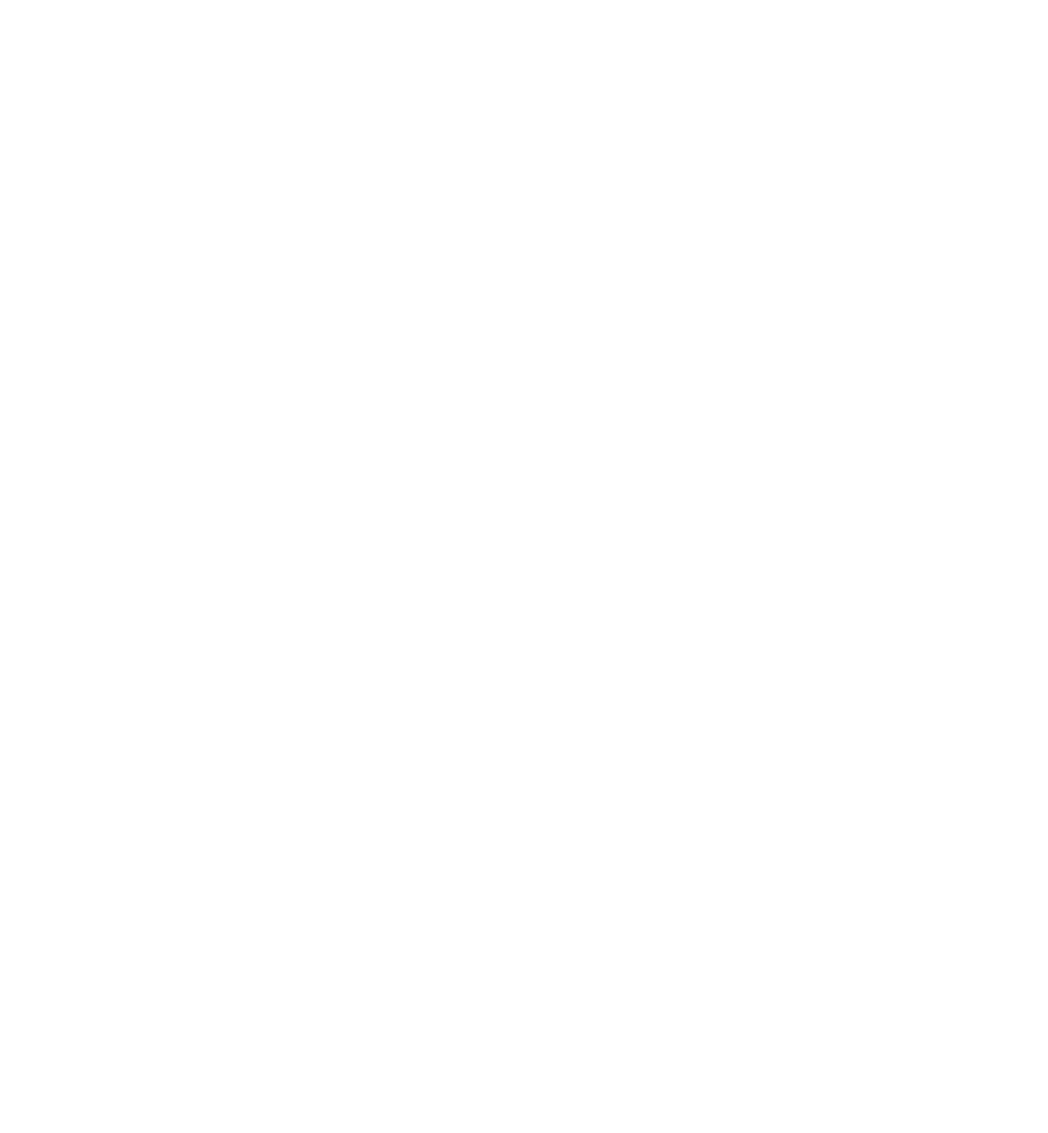 Maximum_logo_white