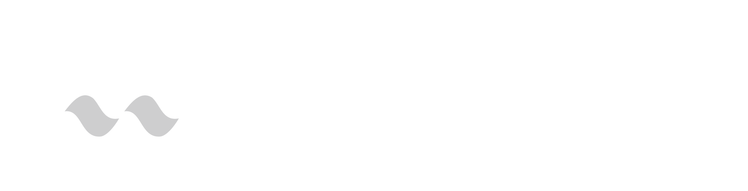 MoneytorCare_Logo_white_horizontal