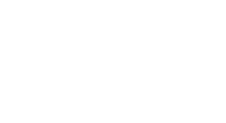 iAPIS-logo_white